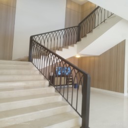 Iron Railing with PVC handle